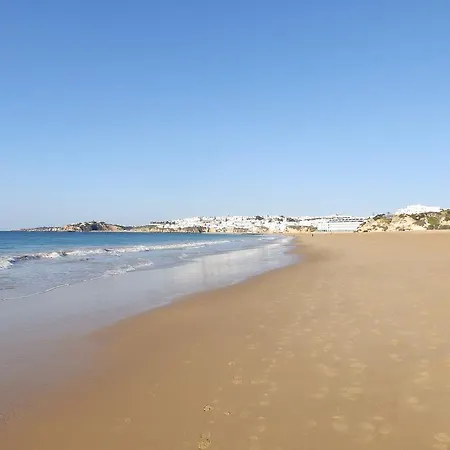Alta Oura *