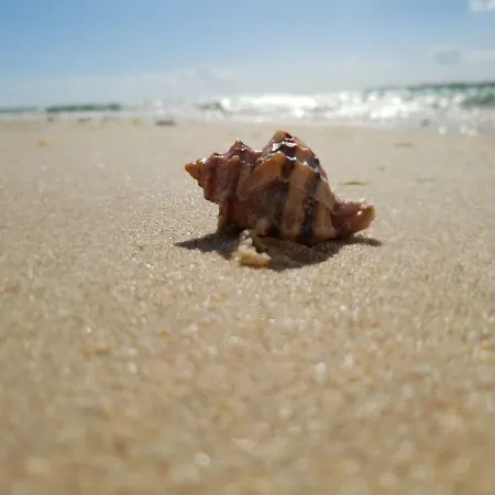 Apartamento Alta Oura